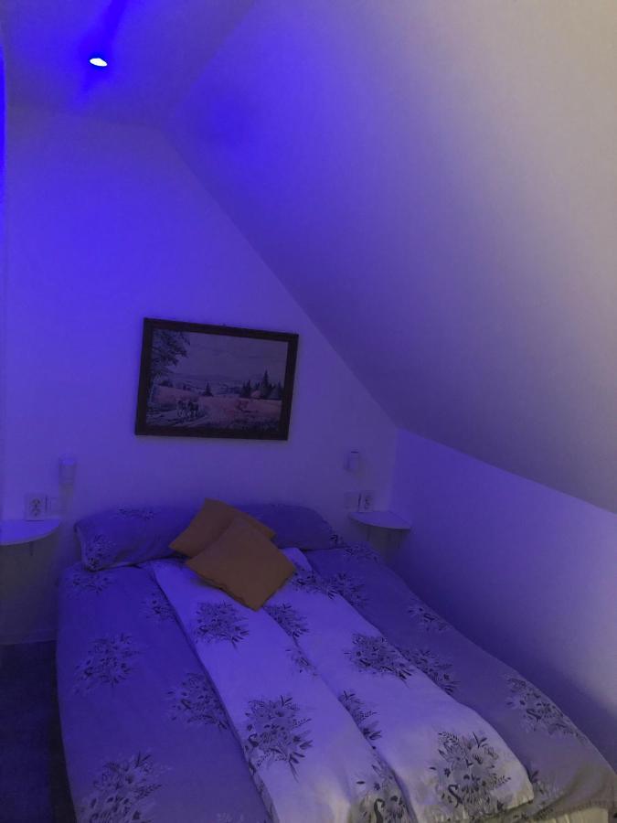 Holiday House Apartments Dajcic Varazdinske Toplice Exteriér fotografie